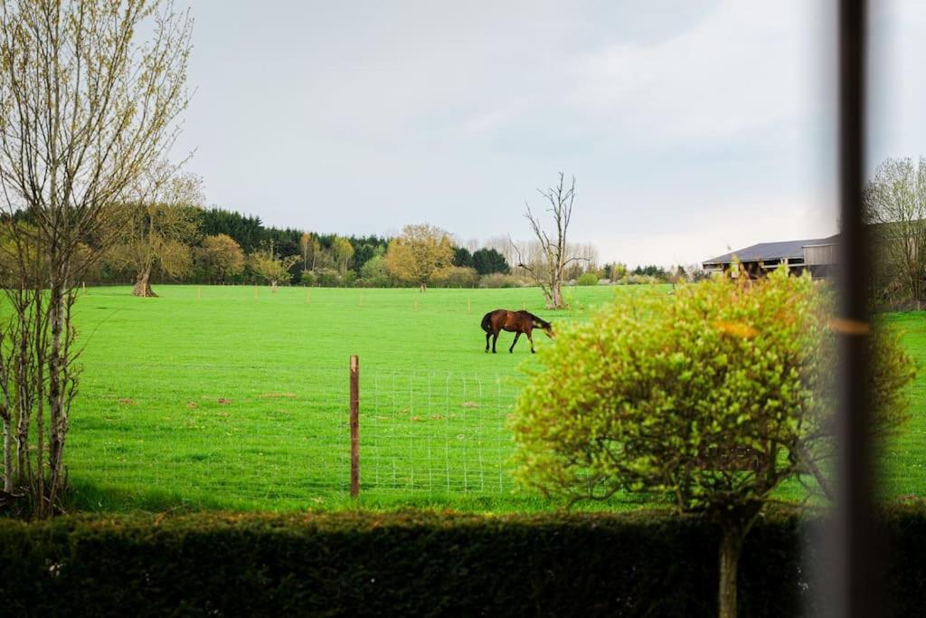 Gite La Dame Au Lit Gite A La Ferme Momignies Exteriör bild