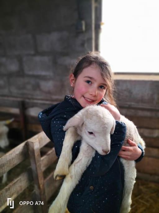 Gite La Dame Au Lit Gite A La Ferme Momignies Exteriör bild