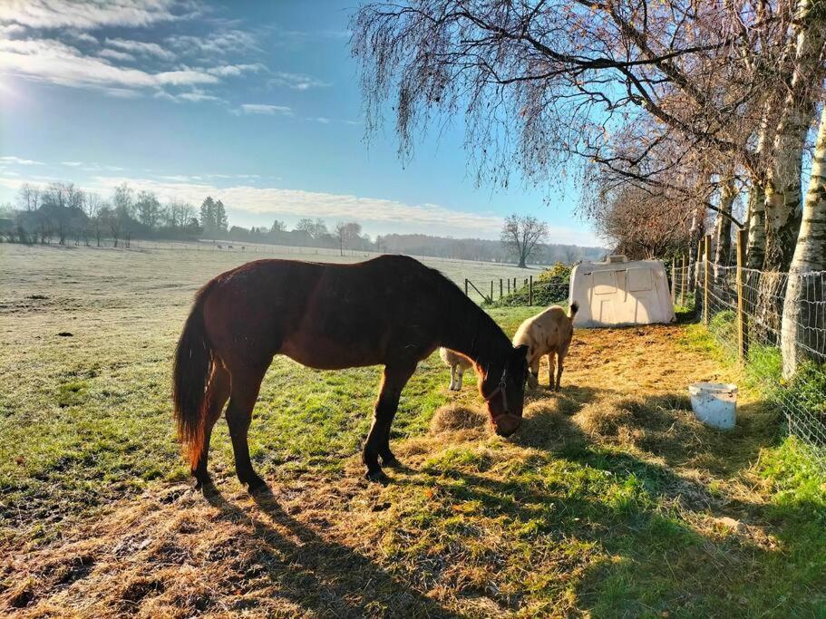 Gite La Dame Au Lit Gite A La Ferme Momignies Exteriör bild