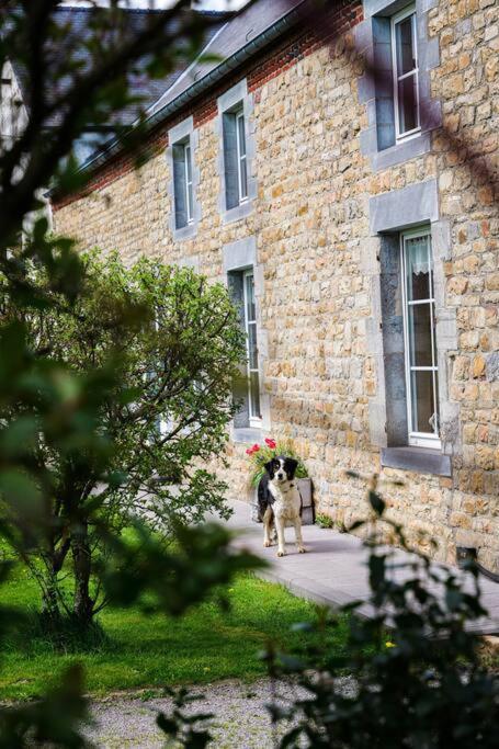 Gite La Dame Au Lit Gite A La Ferme Momignies Exteriör bild