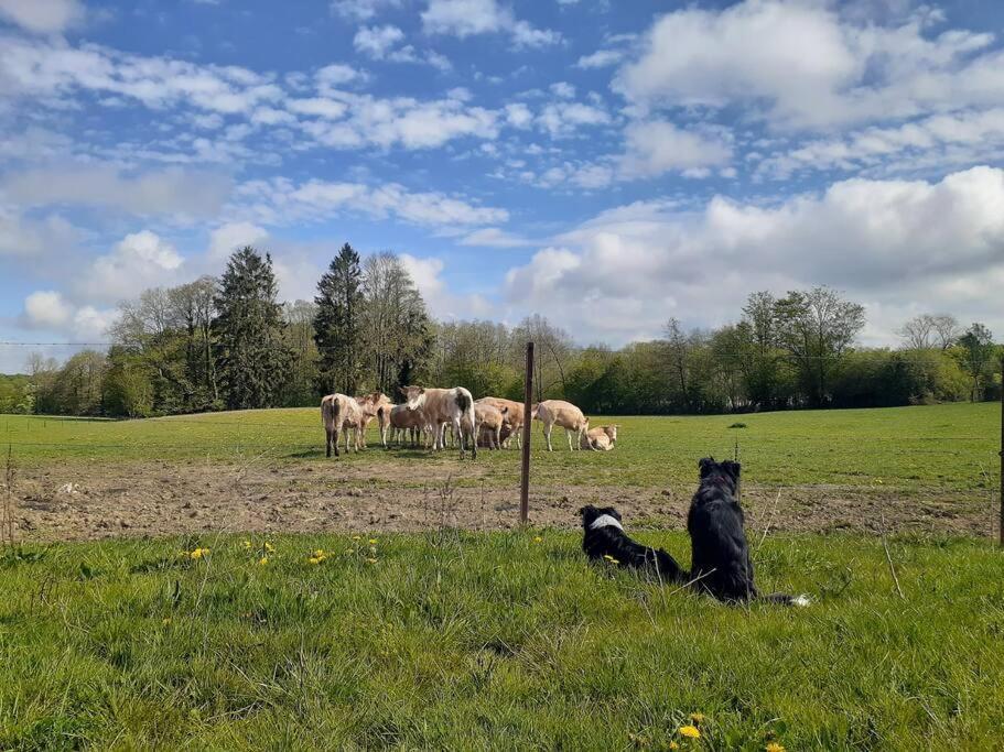 Gite La Dame Au Lit Gite A La Ferme Momignies Exteriör bild